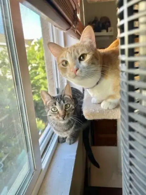 Parker And Echo photo 3