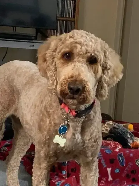 Winnie