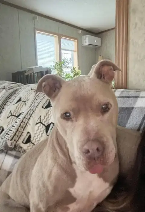 Priscilla photo 2
