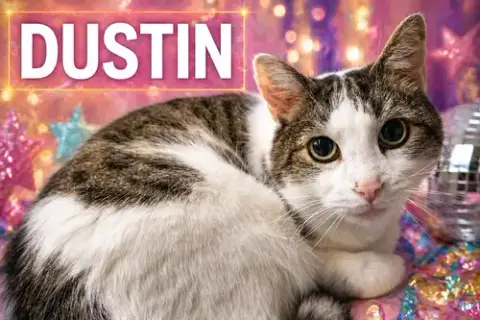 Dustin photo 2