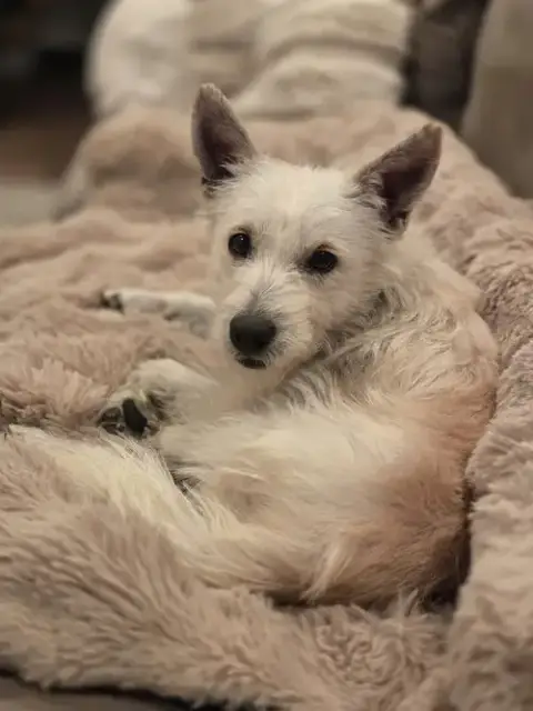Jack photo 2