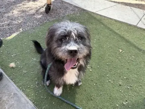 Franklin