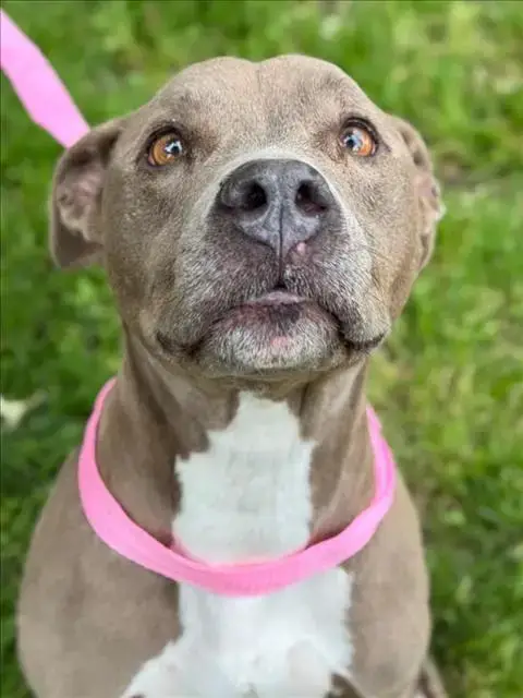 Mimi