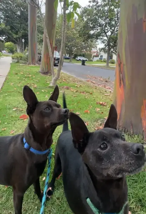 Beckham And Cooper photo 3