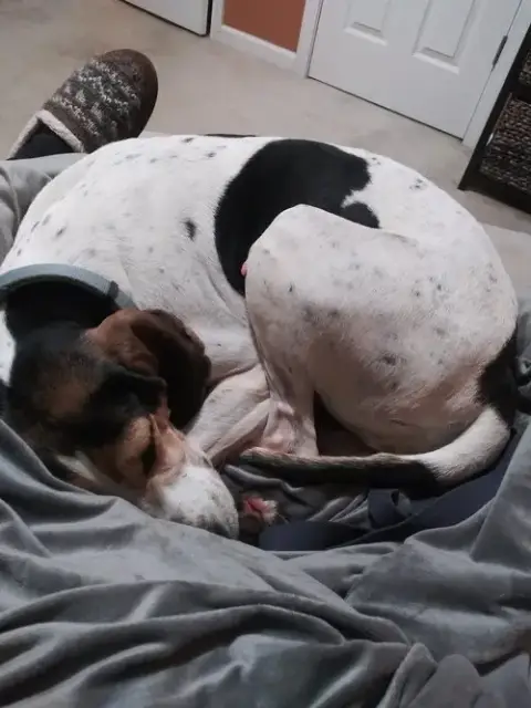 Bonnie photo 5