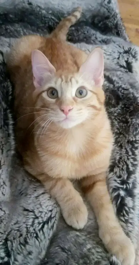 Ginger Boy #The-Sweetest photo 5