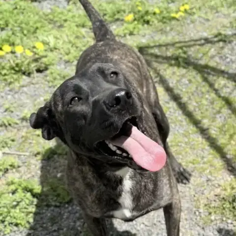 Ripley photo 4