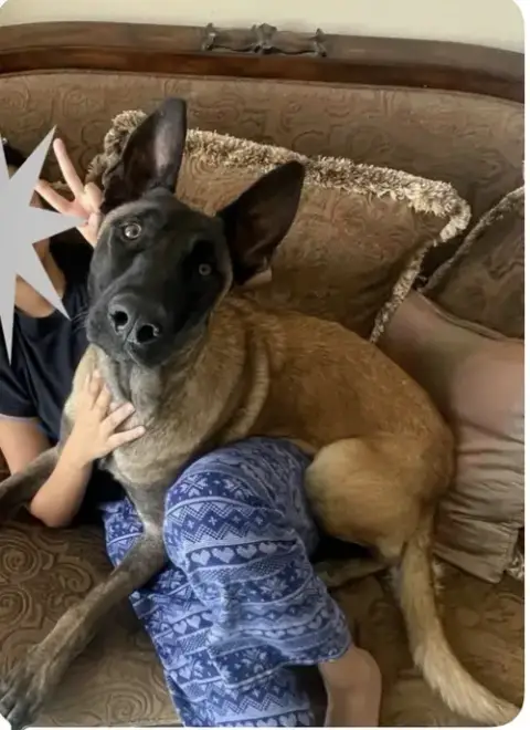 Rocco photo 4