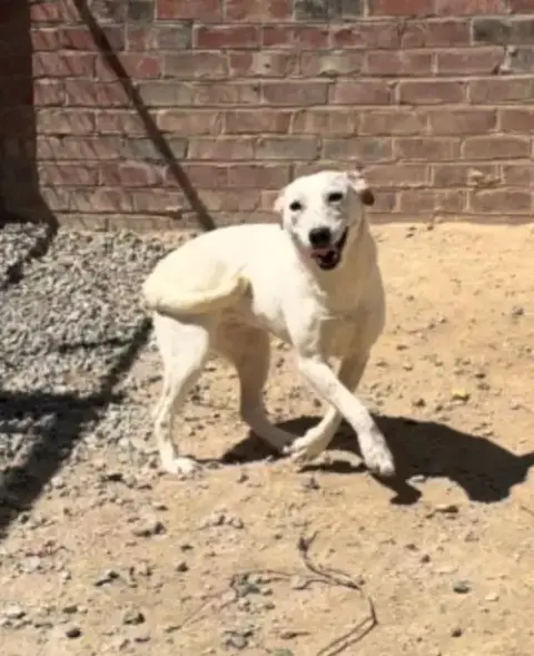 River photo 3