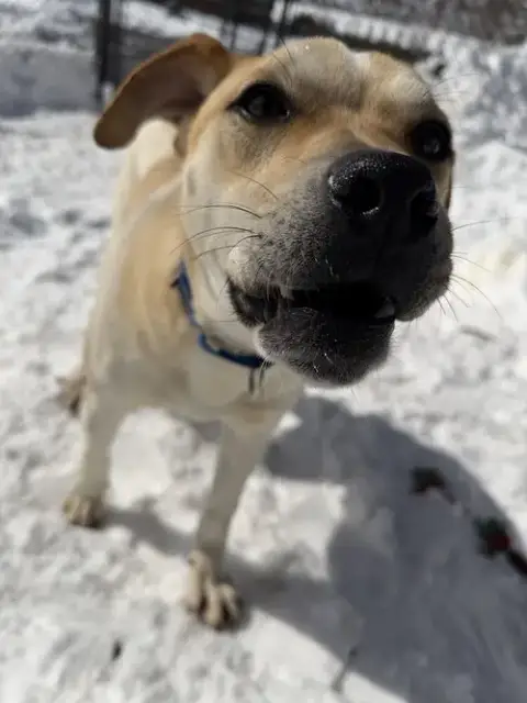 Lenny photo 4