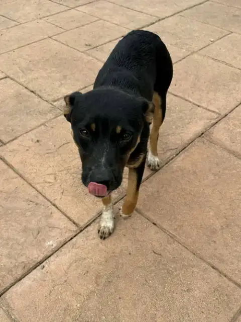 Marnie