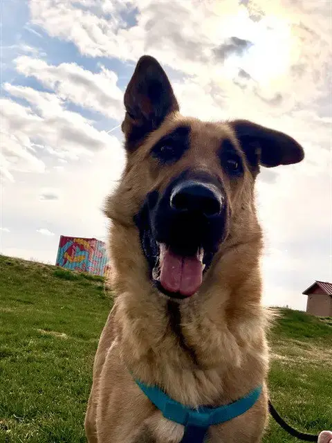 Sam