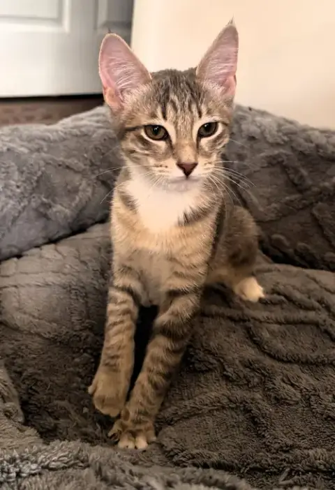 Peggy photo 3