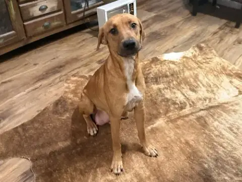 Lucy