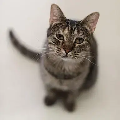 Zelda photo 2