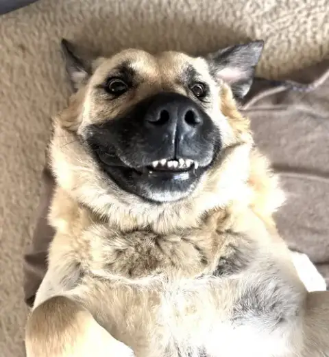Chloe