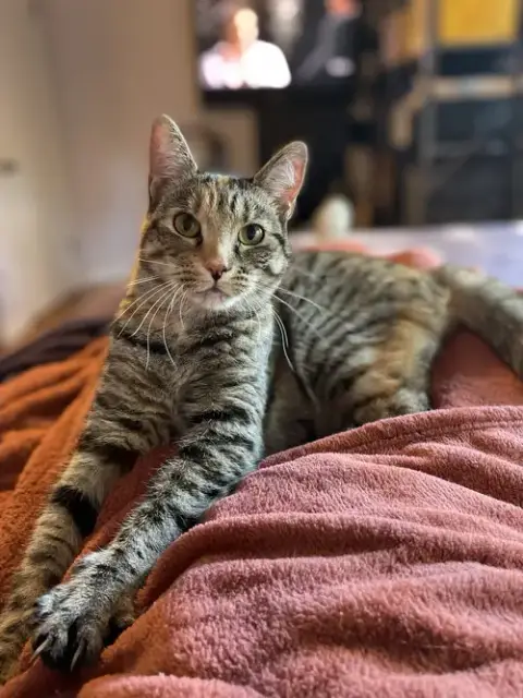 Mabel photo 5