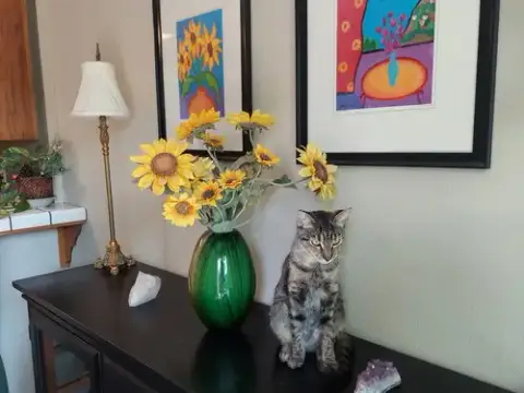 Greta