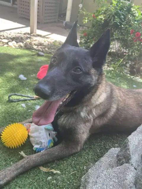 Kona photo 3