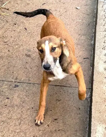 Gwen photo 4
