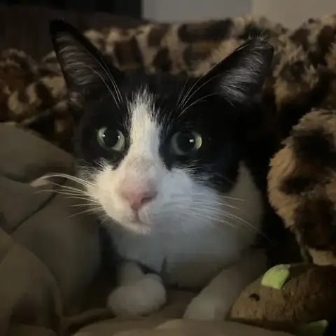 Leila photo 2