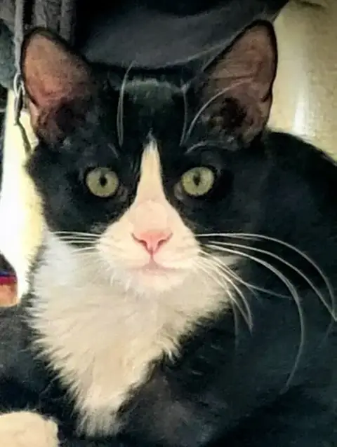 Max