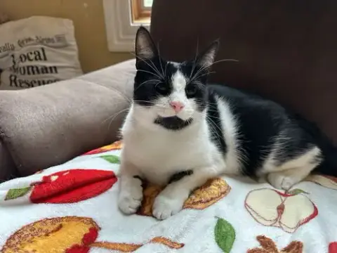 Poe