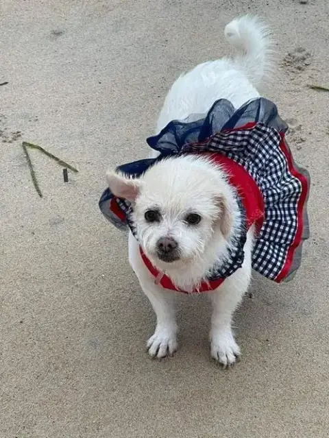 Mabel photo 3