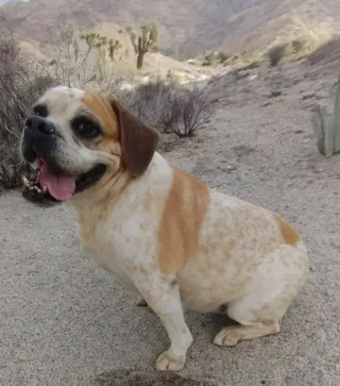 Fiona photo 4