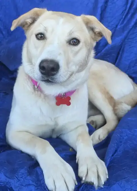 Luna photo 2