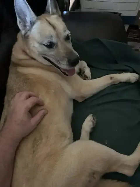 Dakota photo 3