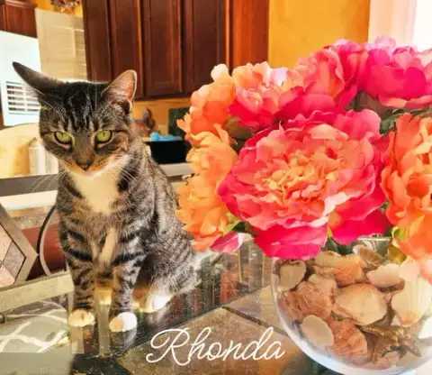 Rhonda photo 2