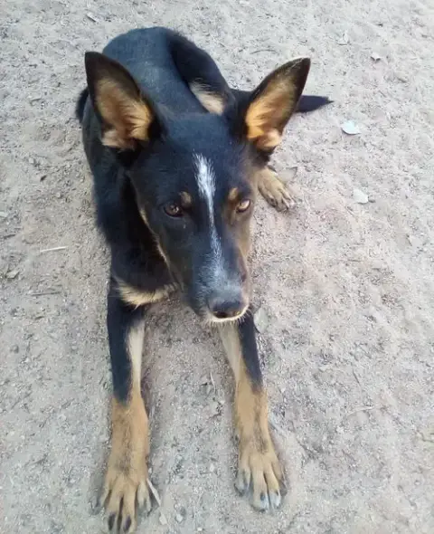 Wanda photo 2