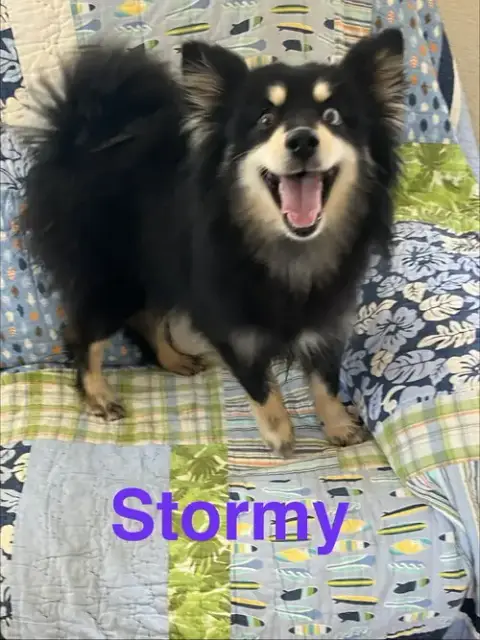 Stormy photo 2