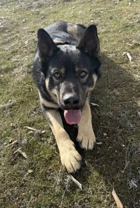Denzel photo 2