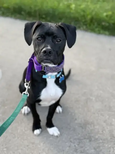 Luigi photo 2