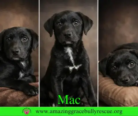 Mac photo 2