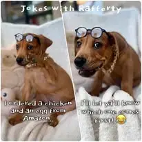 Rafferty photo 2