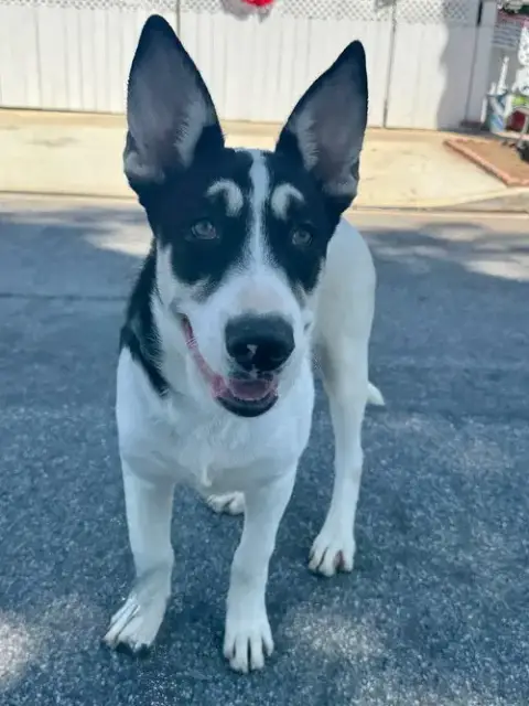 Bernie photo 3