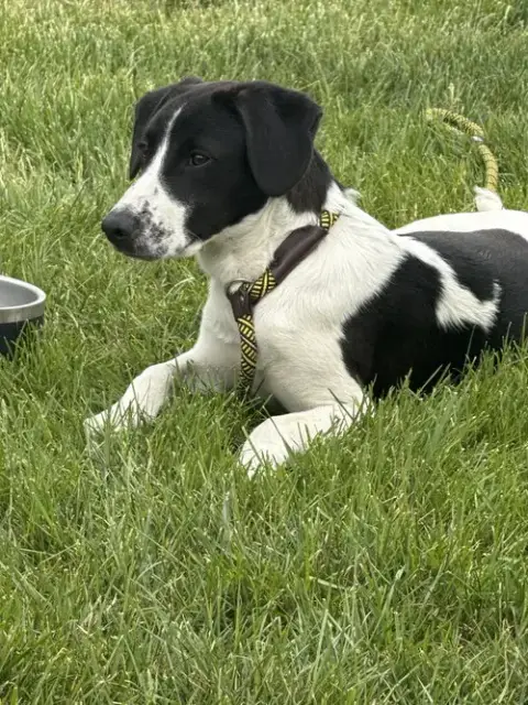 Rudy photo 3