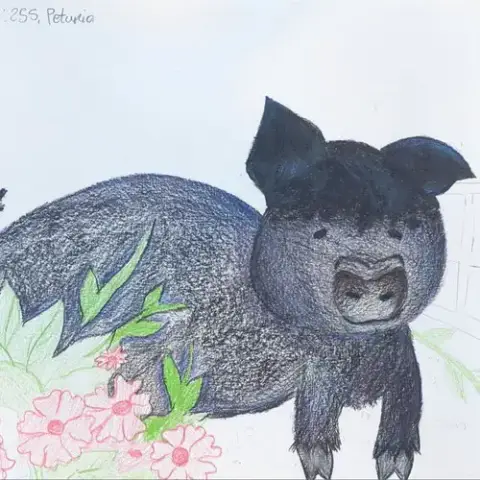 Petunia photo 3