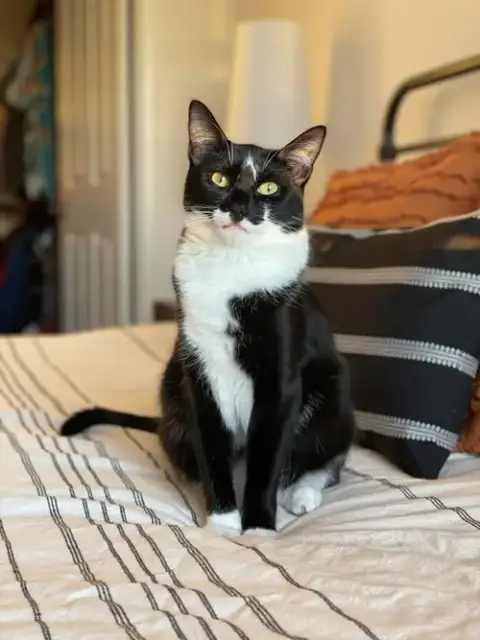 Mia