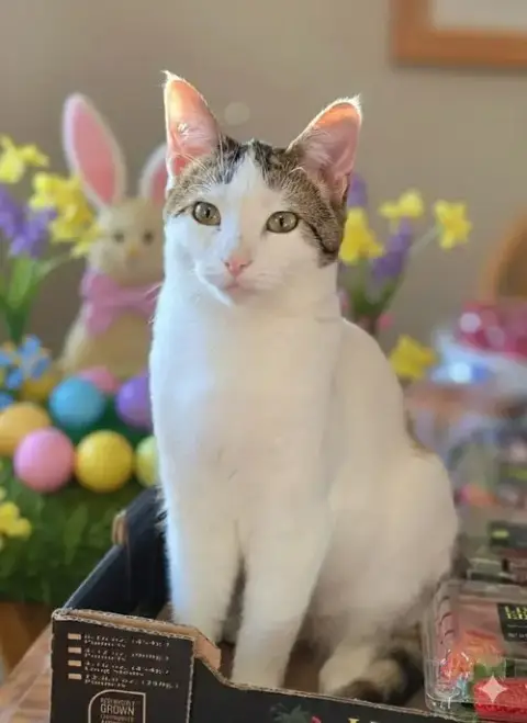 Olivia photo 4