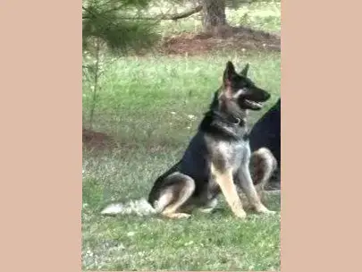 Bonnie photo 4