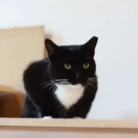 Linda