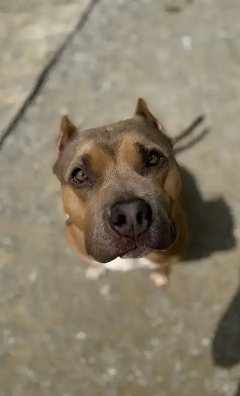Beckham Cooper