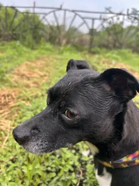 Zoe photo 3