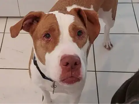 Molly