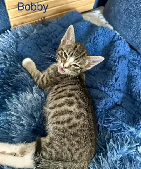 Bobby