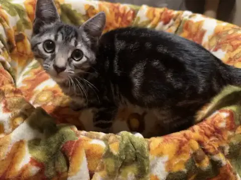 Frankie photo 3